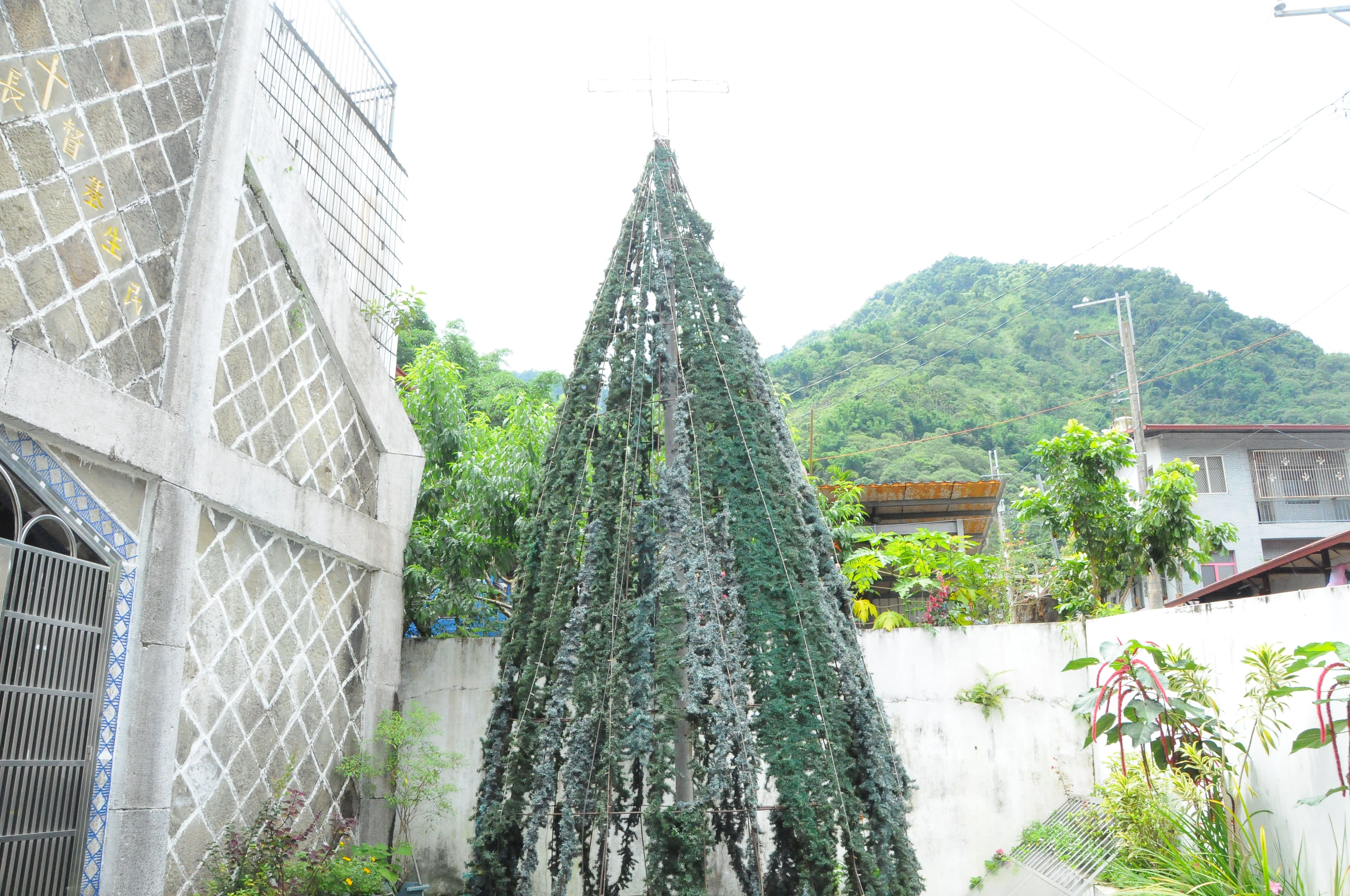 那瑪夏民生教會聖誕樹